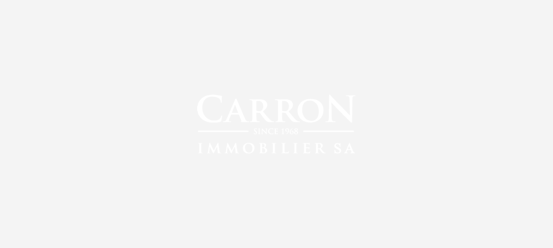 Carron immobilier
