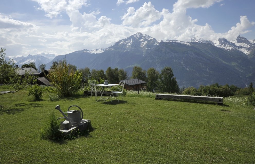 Alpenwiese mit Bergpanorama