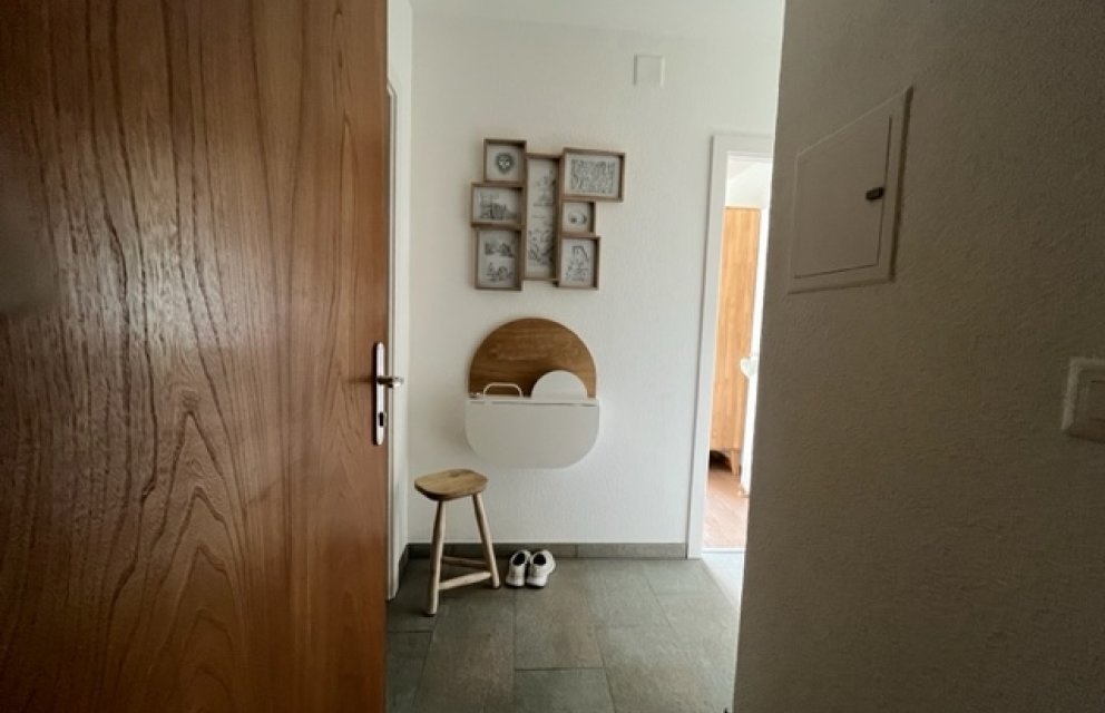 Eingangsbereich mit Holzinnentür und Wanddekor